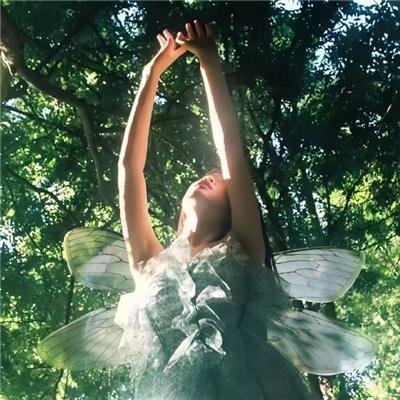 刑事侦缉档案国语